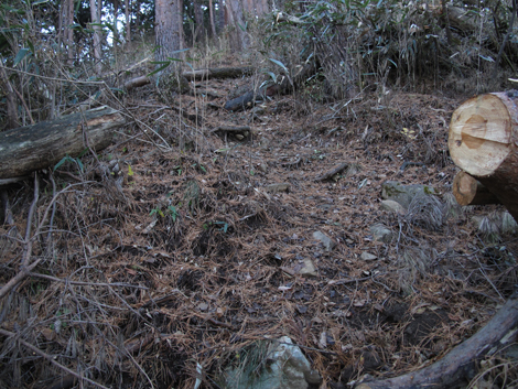 20181214hike (22)